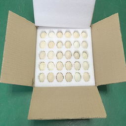 东莞石鼓纸箱厂 塘厦石马珍珠棉纸箱定做服务与高清大图展示